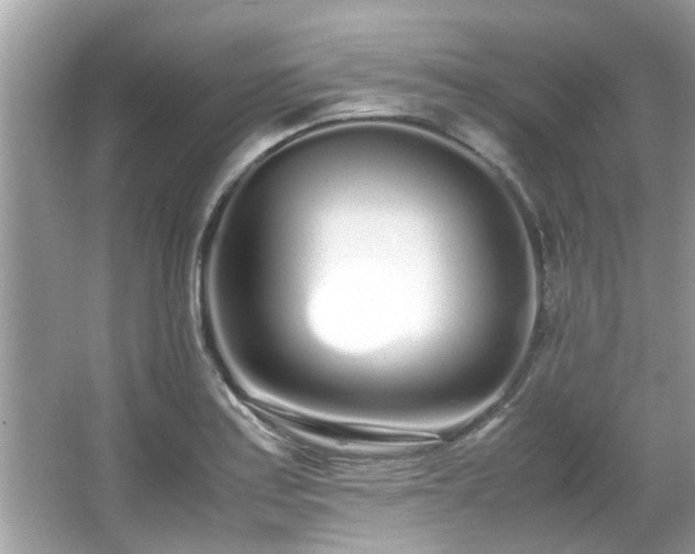 X0000067001179200603271332