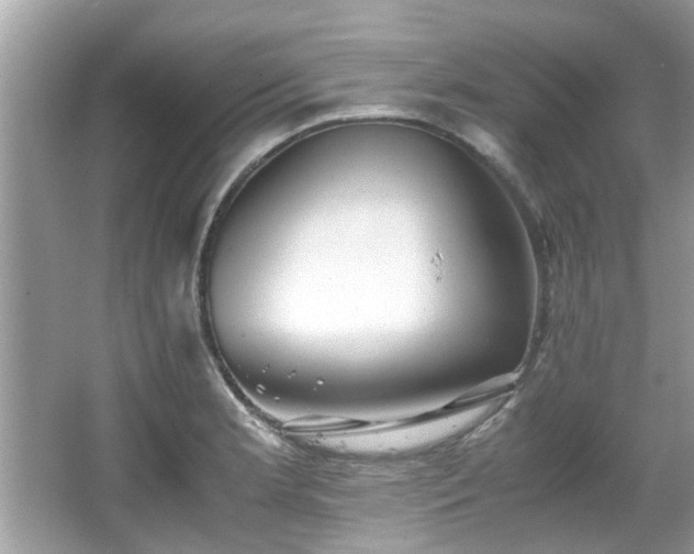 X0000067001181200603271332