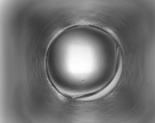 X0000067001183200603271332