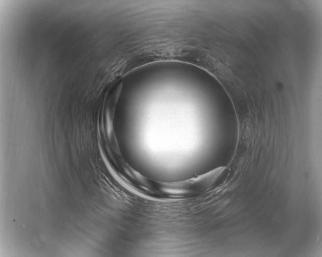 X0000067001202200603271331