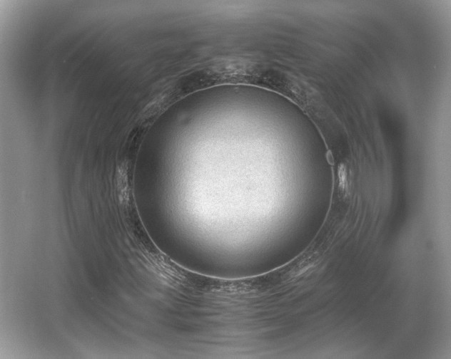 X0000067001203200603271331