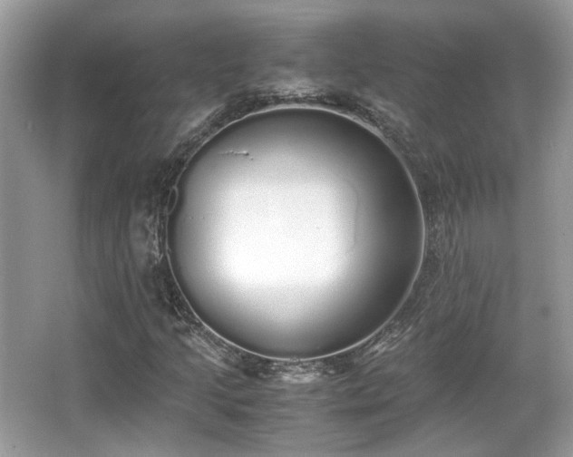 X0000067001205200603271331
