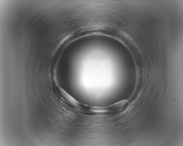 X0000067001210200603271331