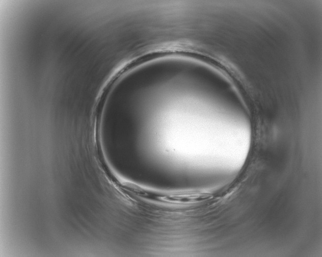 X0000067001224200603271331