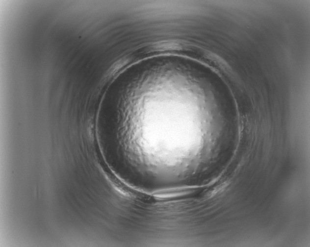 X0000067001225200603271332