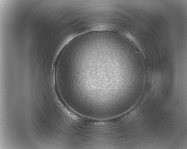 X0000067001227200603271332