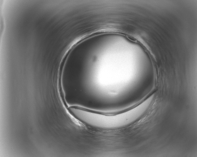 X0000067001245200603271332