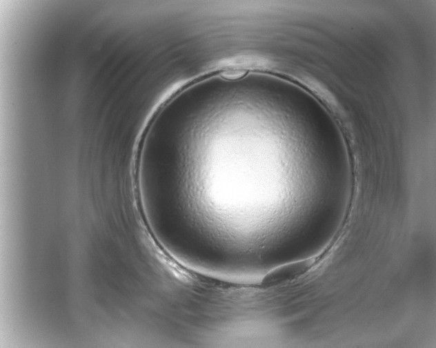 X0000067001248200603271332