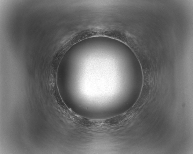 X0000067001253200603271331