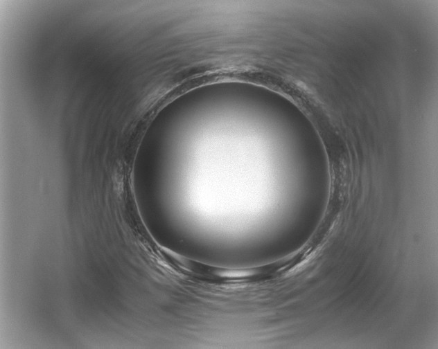 X0000067001257200603271331