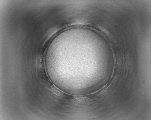 X0000067001258200603271331