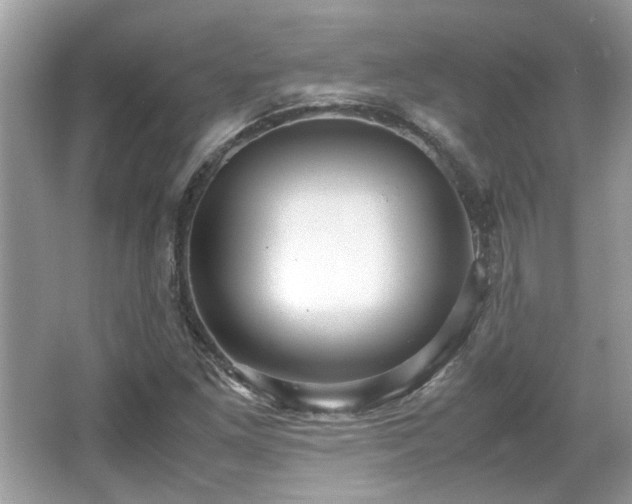 X0000067001261200603271331