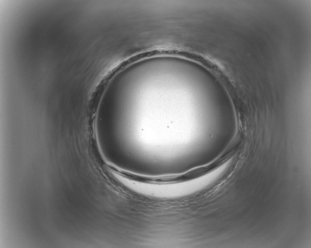 X0000067001263200603271331