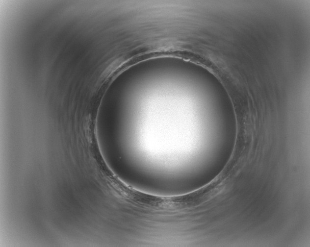 X0000067001265200603271331