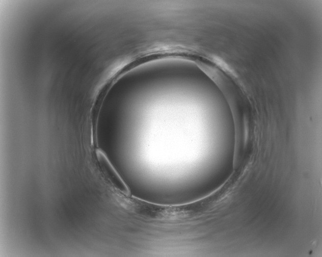 X0000067001269200603271331