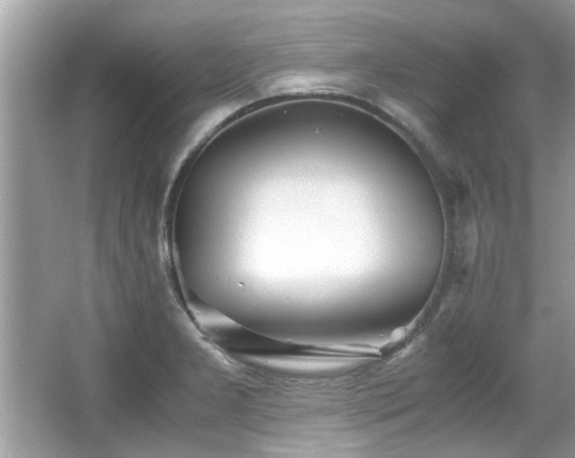 X0000067001277200603271331