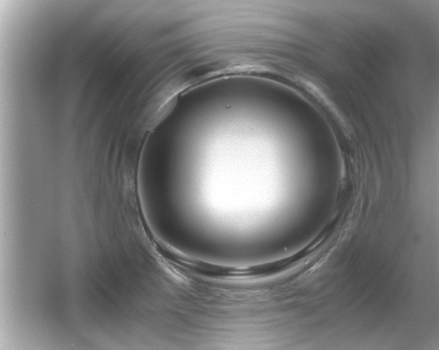 X0000067001281200603271331