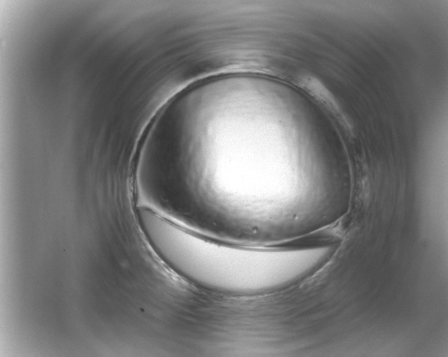 X0000067001284200603271330