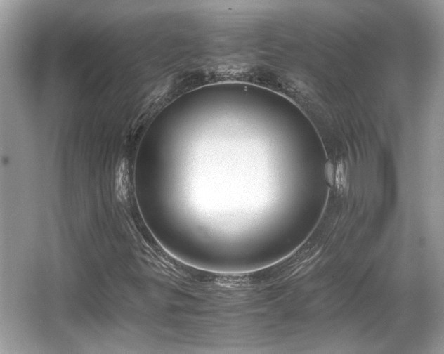 X0000067001299200603271330