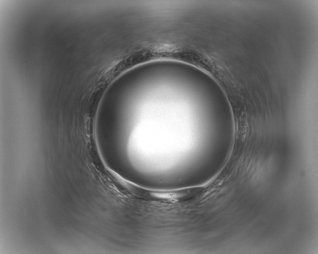 X0000067001301200603271330