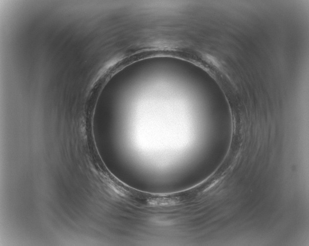 X0000067001307200603271330