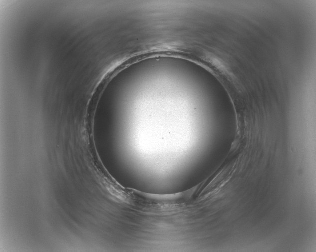 X0000067001308200603271330