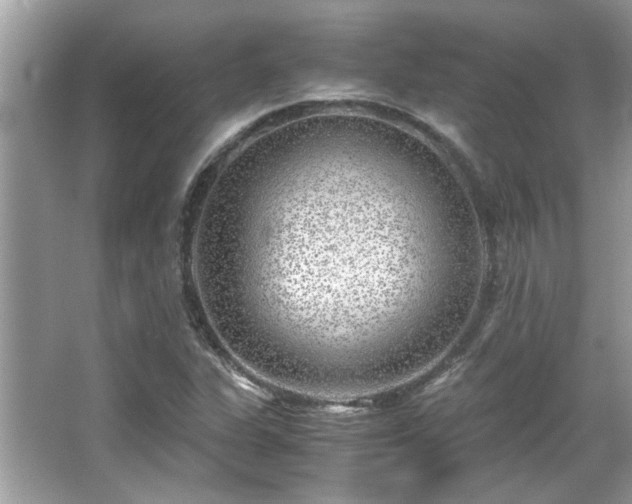 X0000067001311200603271330