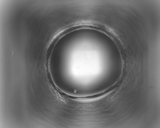 X0000067001312200603271330