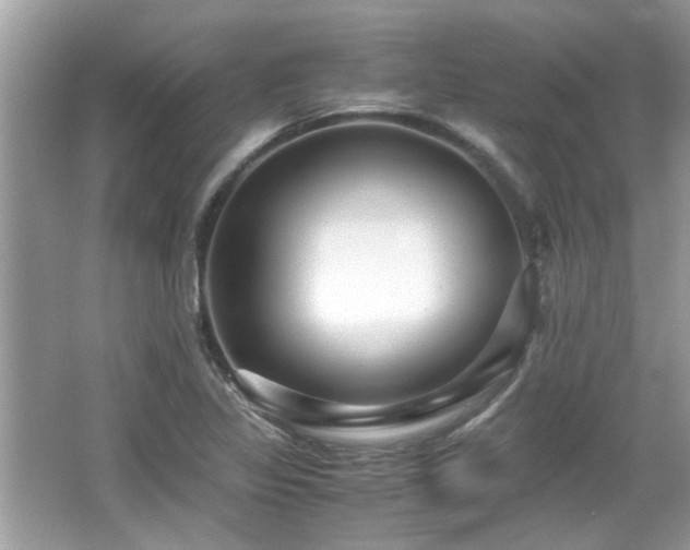 X0000067001317200603271330