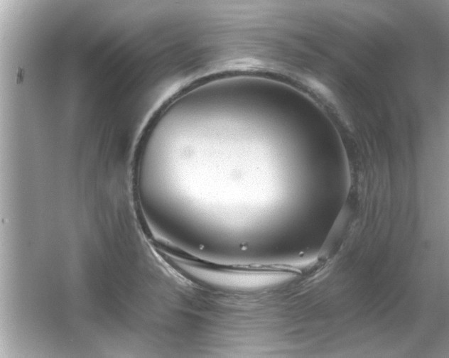 X0000067001326200603271330