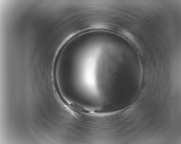 X0000067001331200603271330
