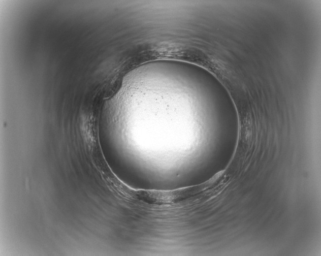 X0000067001346200603271329