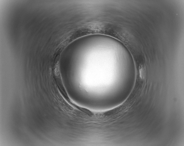 X0000067001347200603271329