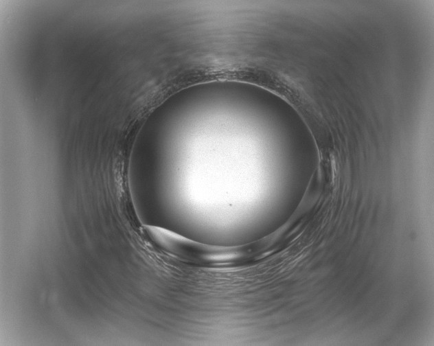 X0000067001348200603271329