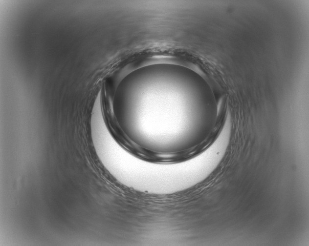 X0000067001349200603271329