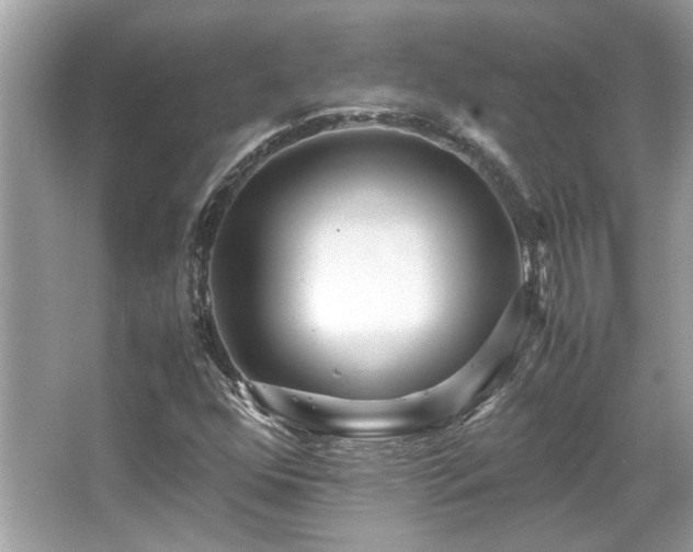 X0000067001352200603271329