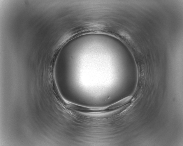 X0000067001354200603271329
