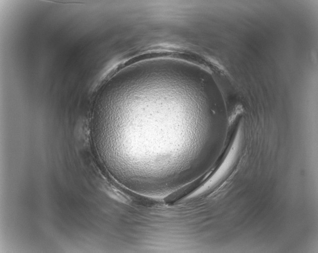 X0000067001355200603271329