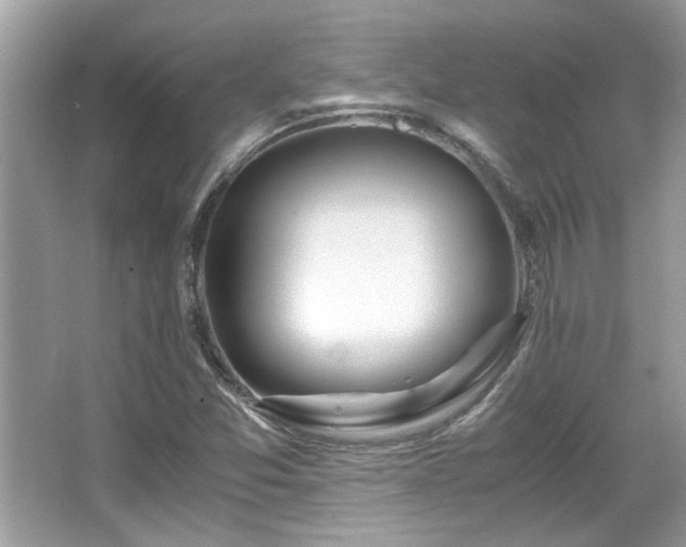 X0000067001357200603271329