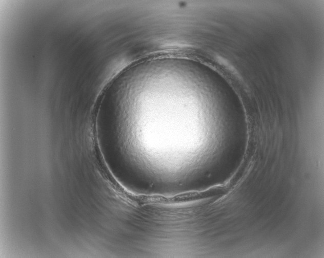 X0000067001362200603271329