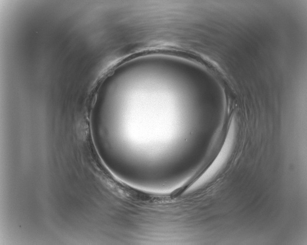 X0000067001363200603271329