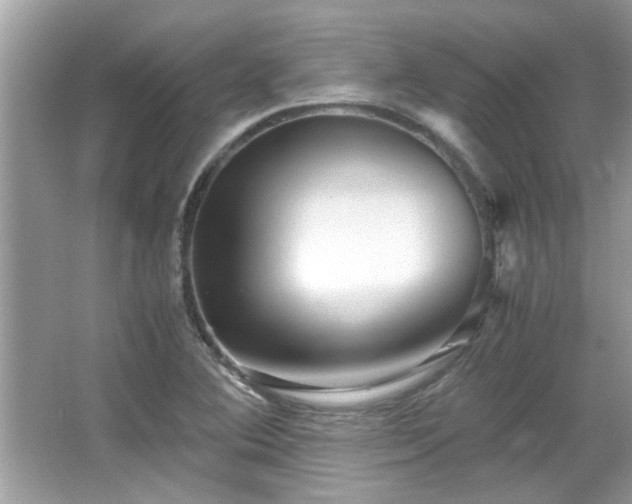 X0000067001364200603271329