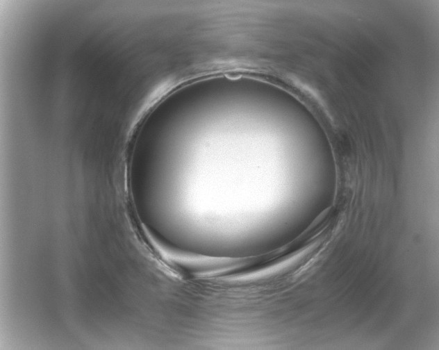 X0000067001365200603271329