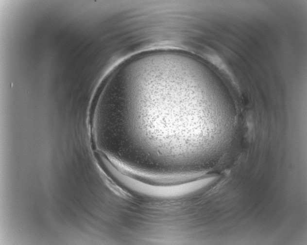 X0000067001372200603271329