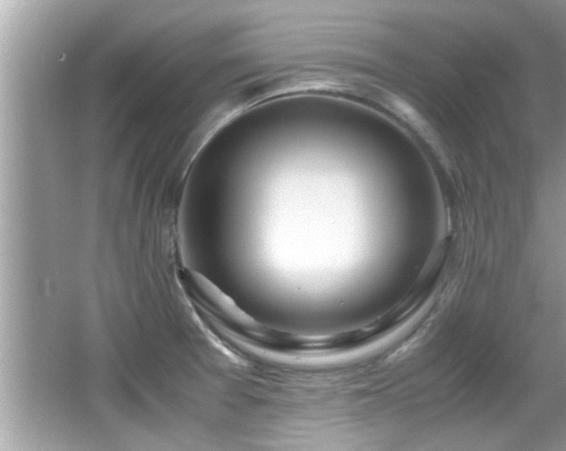 X0000067001377200603271329