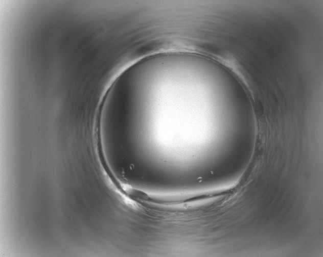 X0000067001387200603271329