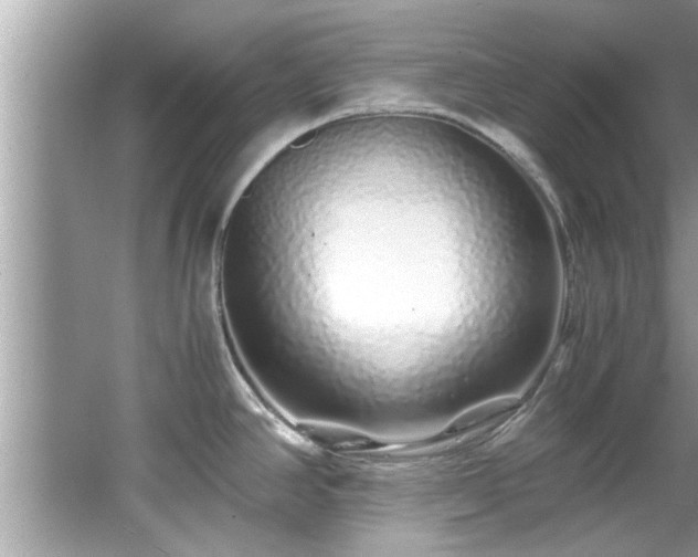 X0000067001390200603271329