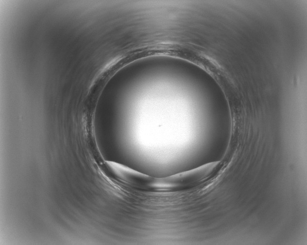 X0000067001402200603271328