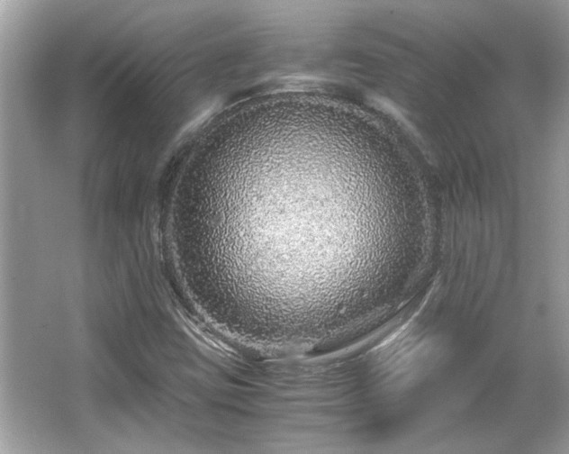 X0000067001403200603271328