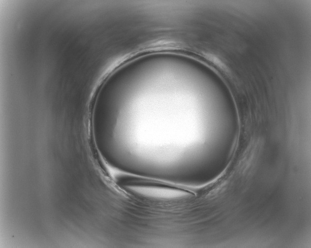 X0000067001413200603271328
